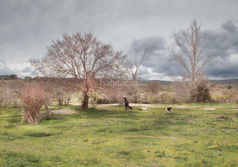 Foto 754adc80-2a94-4218-83c2-8c652a8c70b6. Finca rústica a Quijorna