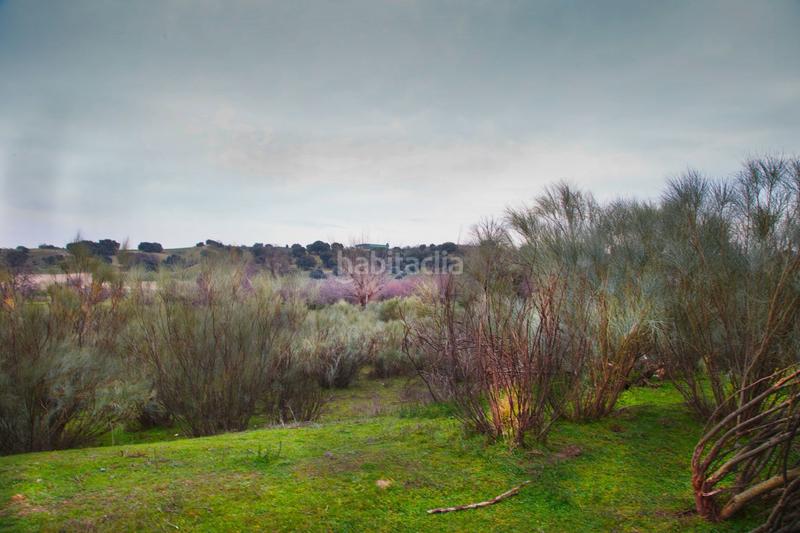 Foto 7a462e11-cb01-4829-a875-32ef2479480a. Finca rústica a Quijorna