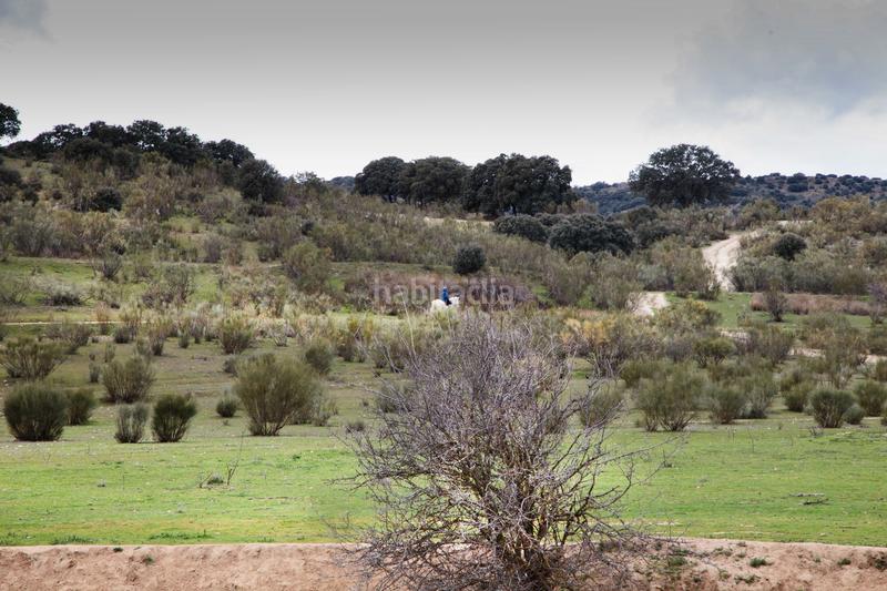 Foto 719d657b-162e-496a-8d9c-d7efab4b7c19. Finca rústica en Quijorna