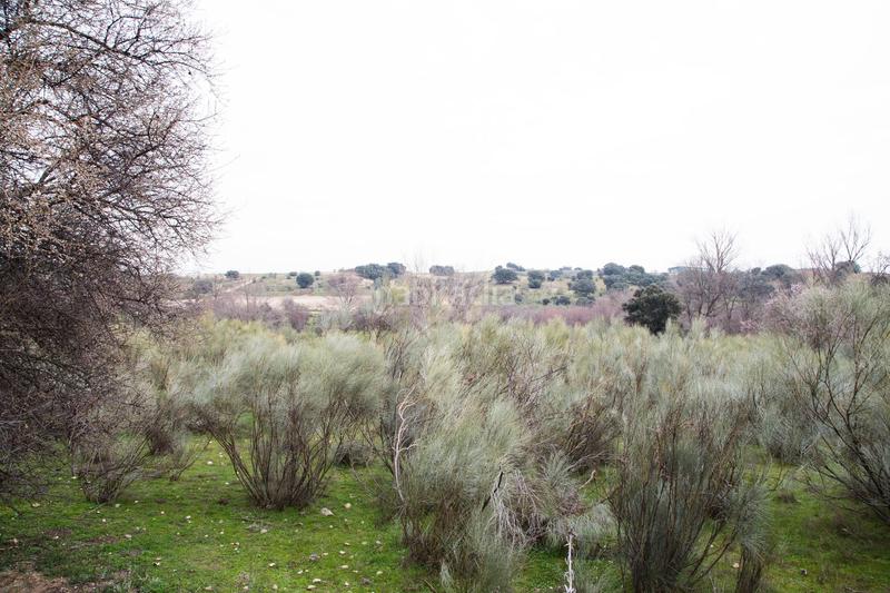 Foto b4d0ff92-c790-4d6b-a5b9-5b3bbe8e0e7f. Finca rústica en Quijorna