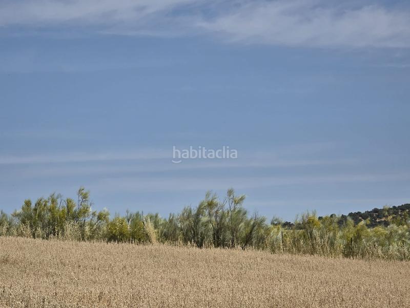 Foto 58c5f973-0925-4b97-bcb0-f73e6f3facba. Finca rústica en Quijorna