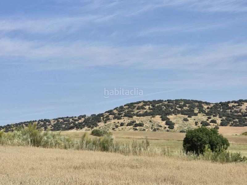 Foto ac627fed-1555-4cce-9ff2-541c4a9f4235. Finca rústica en Quijorna