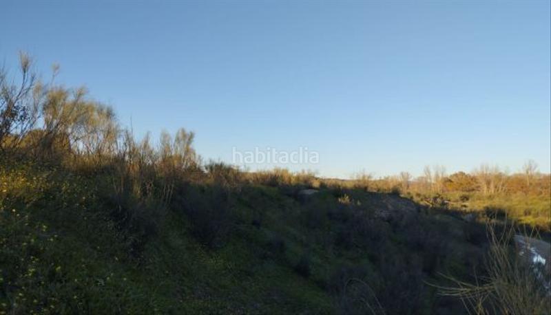 Foto ad7aa367-9ae9-47fe-a2de-60cfc46a2a42. Finca rústica en Quijorna