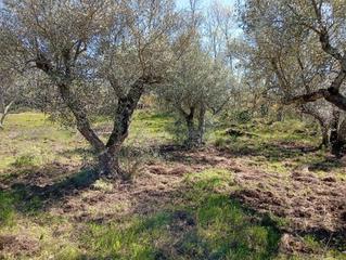 Residential Plot in Valverde de la Vera