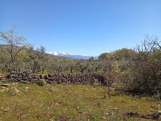 Wohngrundstück in Valverde de la Vera