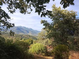 Finca rústica a Madrigal de la Vera