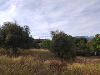 Residential Plot in Madrigal de la Vera