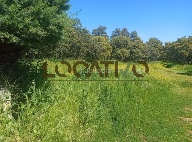 Foto 3b69e4f3-c02f-4288-8655-aa974c1a1ef2. Terreno residencial en Las Zorreras-Monte Encinar Escorial (El)