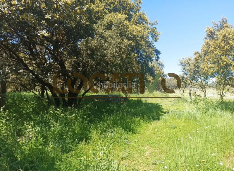 Foto 404fd5ae-fe2f-48a2-8125-530789ab6ce8. Terreno residencial en Las Zorreras-Monte Encinar Escorial (El)
