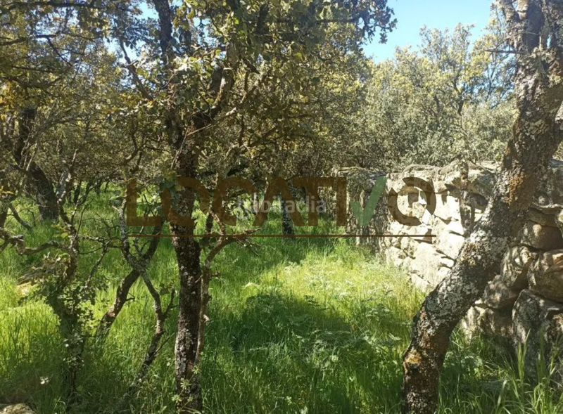 Foto 8a3f0436-a6f6-4f2e-a84d-19700dac86b2. Terreno residencial en Las Zorreras-Monte Encinar Escorial (El)