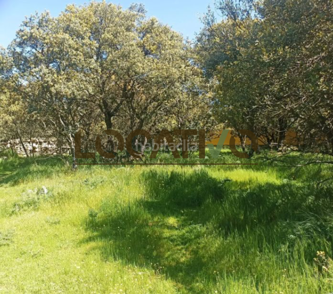 Foto 8b9c049d-4311-4a88-bb13-6977bb896e6b. Terreno residencial en Las Zorreras-Monte Encinar Escorial (El)