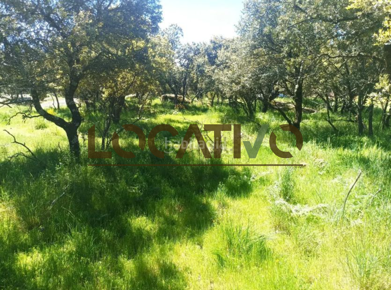 Foto 909614f2-95d3-49f7-adf5-eaadce20e115. Terreno residencial en Las Zorreras-Monte Encinar Escorial (El)
