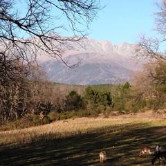 Finca rústica a Villanueva de la Vera