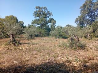 Landgut in Trujillo