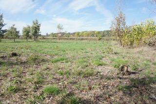 Rural plot in Villanueva de la Vera