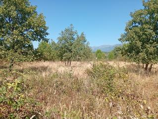 Propriété à Villanueva de la Vera