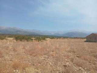 Rural plot in Talayuela