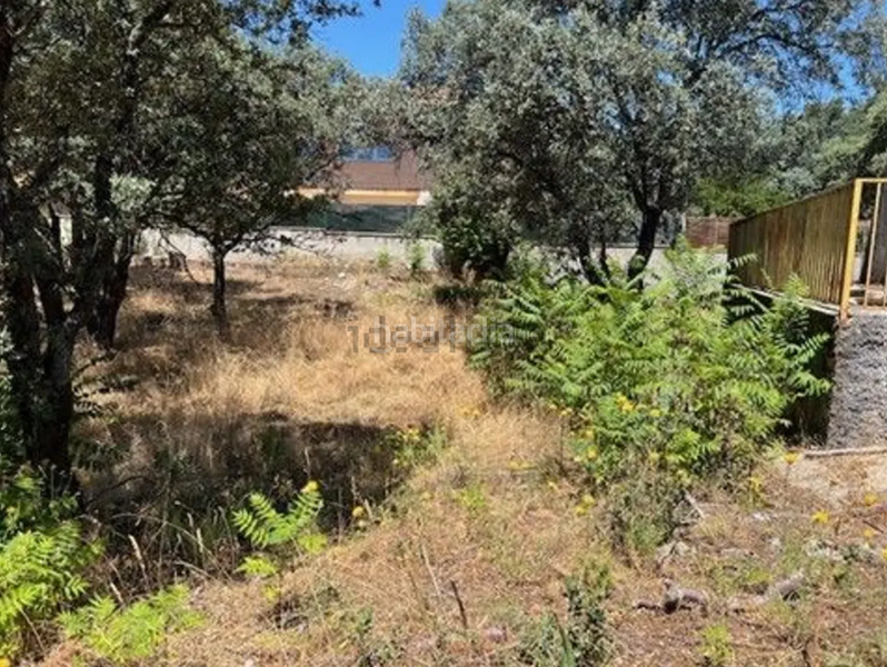 Foto 20e94435-83d3-4dbc-82ef-c29c9a136968. Terreno residencial en Las Zorreras-Monte Encinar Escorial (El)