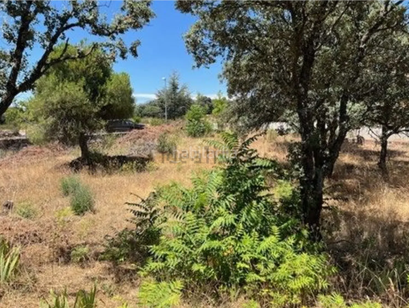 Foto 63f97301-3f18-4834-bb86-36925c572c2c. Terreno residencial en Las Zorreras-Monte Encinar Escorial (El)