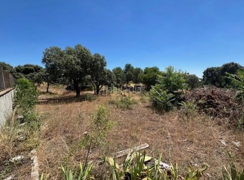 Foto ba7f47f3-1b87-4ea6-a1e9-14bc71543a36. Terreno residencial en Las Zorreras-Monte Encinar Escorial (El)