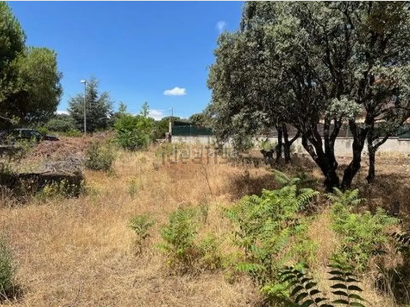 Foto c743d5a2-caad-484f-abd5-dc582736ee04. Terreno residencial en Las Zorreras-Monte Encinar Escorial (El)