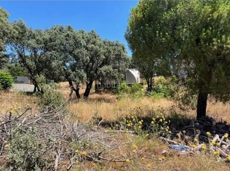 Foto 086214dd-4143-4638-a58c-e85f8013d7a4. Terreno residenziale in Las Zorreras-Monte Encinar Escorial (El)
