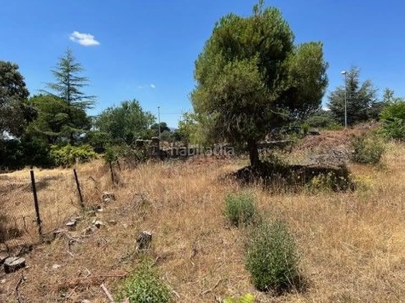 Foto 20e52825-db60-4552-bedb-37787a61521d. Terreno residenziale in Las Zorreras-Monte Encinar Escorial (El)