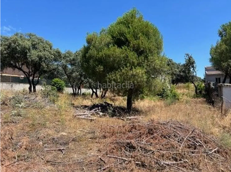 Foto ac9a9d93-7e07-4e73-ae54-4a5b70e5192c. Terreno residenziale in Las Zorreras-Monte Encinar Escorial (El)