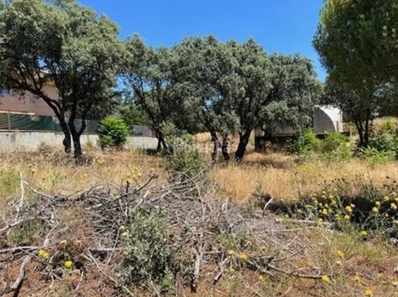Foto beee5704-82c1-4ba4-8a40-9baf720e61e5. Terreno residenziale in Las Zorreras-Monte Encinar Escorial (El)