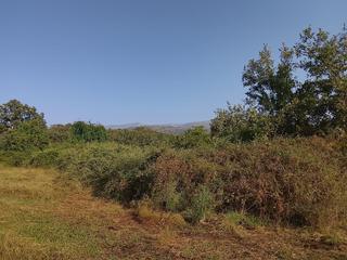 Finca rústica a Villanueva de la Vera