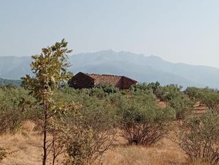 Finca rústica en Valverde de la Vera