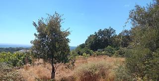 Finca rústica en Talaveruela de la Vera