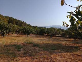 Finca rústica en Madrigal de la Vera