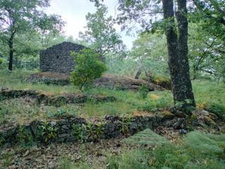 Rural plot in Villanueva de la Vera