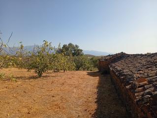 Rural plot in Madrigal de la Vera