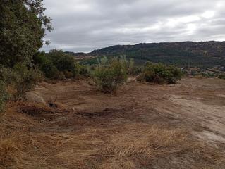 Residential Plot in Robledo de Chavela