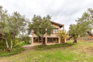 Rural plot in Villanueva de la Vera
