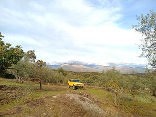 Landgut in Villanueva de la Vera