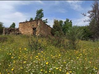 Finca rústica a Villanueva de la Vera