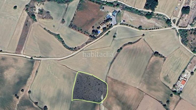 Foto 9d43a9a3-eea9-4eff-96c3-fcbc760412d7. Fondo rustico in Brunete