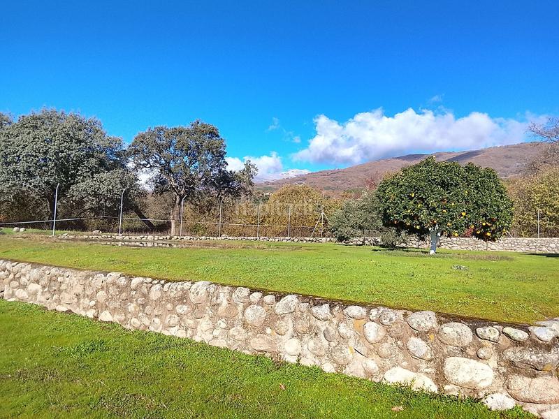 Foto 4ac376d2-a722-4a1a-99e3-1e830e6e3b3f. Finca rústica en Candeleda