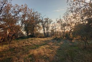 Rural plot in Viandar de la Vera