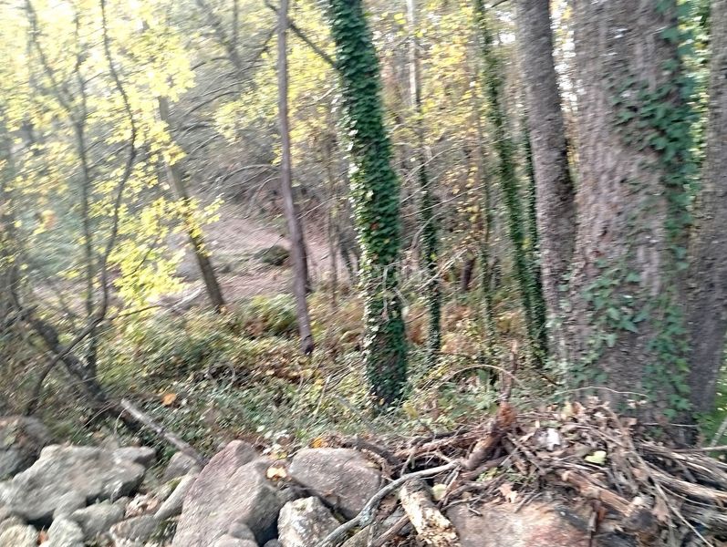 Foto 5aa7c243-fc00-472a-83cc-a5f1c9b7ad60. Finca rústica a Viandar de la Vera