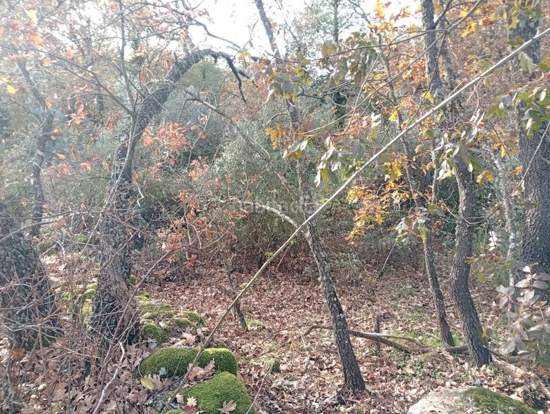 Foto 884d0300-ba0b-465d-9a66-bf5d38111090. Finca rústica a Viandar de la Vera