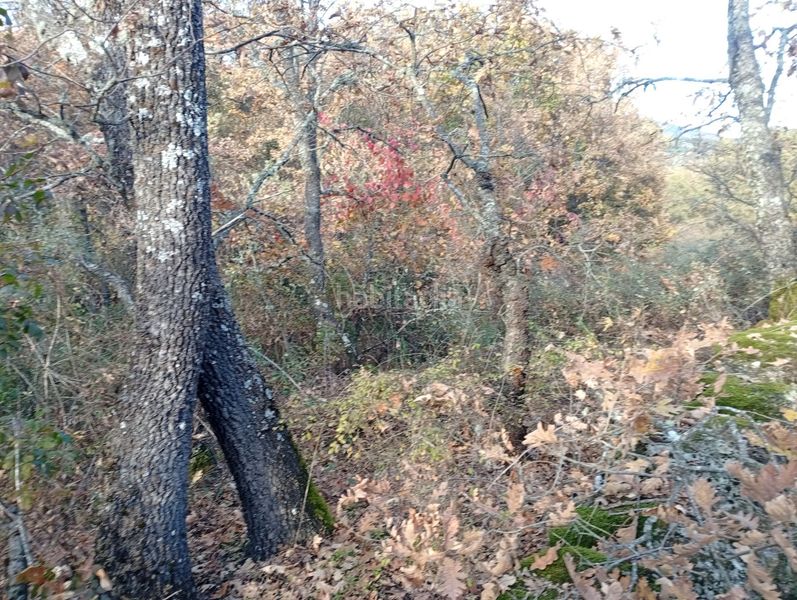 Foto acabebbb-dda7-4a57-b900-ca300abd1044. Finca rústica a Viandar de la Vera