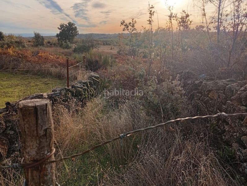 Foto aea79ee6-abb6-4651-960a-a728f73afbbc. Finca rústica a Viandar de la Vera