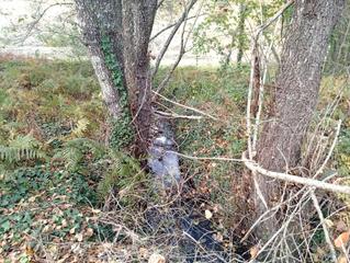 Finca rústica a Viandar de la Vera