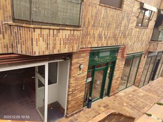 Alquiler Local Comercial en Centro-Manguilla