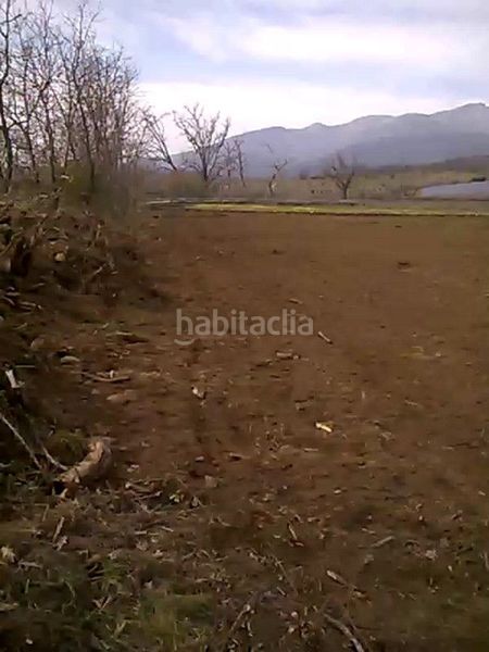 Foto 0808e9d5-ad35-4d8b-9867-960378569225. Finca rústica a Madrigal de la Vera