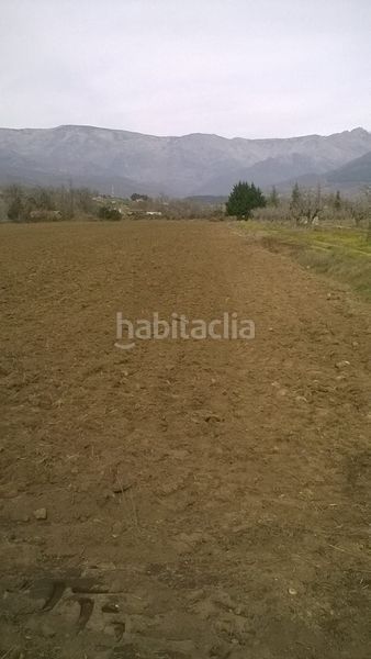 Foto 499872de-3196-44d7-ae03-e853f7d1b38a. Finca rústica a Madrigal de la Vera